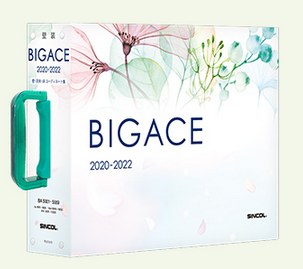 ¿SINCOL-BIGACE-2020¿
